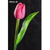 Dekoračný umelý kvet - Tulipán ružový 40 cm