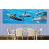 Fototapeta M-186 panoráma - Delfíny vo vode 330 x 110 cm