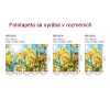 Fototapeta MS-3-0134 Žlté kvety 225 x 250 cm