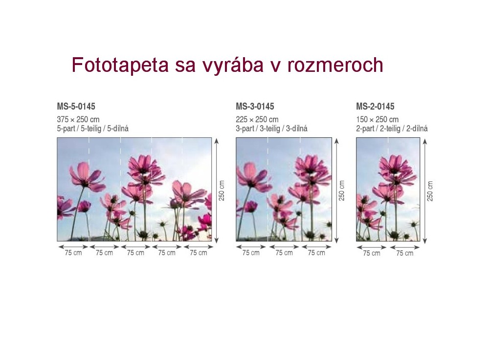 Fototapeta MS-3-0145 Lúčne kvety 225 x 250 cm