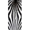 Fototapeta na dvere DL-060 Zebra 95 x 210 cm