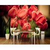 Fototapeta XL-439 Červené tulipány 330 x 220 cm , zľava 70%