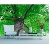 Fototapeta XL-521 Koruna stromu 330 x 220 cm, zľava 70%