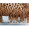 Fototapeta XL-558 Leopardia koža 330 x 220 cm