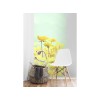 Fototapeta MS-2-5512-SK Aquarelové maky žlté 150 x 250 cm