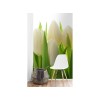 Fototapeta MS-2-5548-SK Biele tulipány 150 x 250 cm