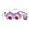 Dekoračné nálepky na stenu Orchidea fialová - 65 x 165 cm 