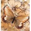 Vankúše - Motýľ v hnedom, 45 x 45 cm