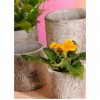 Kvetináč Breza 10 cm - cement