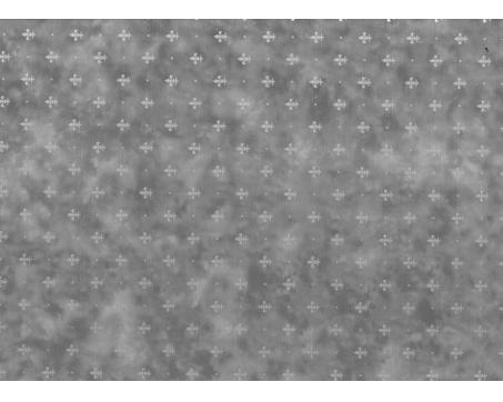 Samolepiaca fólia dekoratívna 13870 ORNAMENT - šírka 45 cm