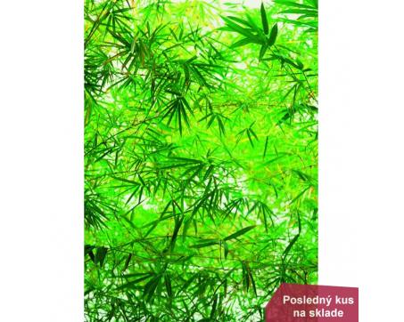 Papierové fototapety - bambus 183 x 254 cm