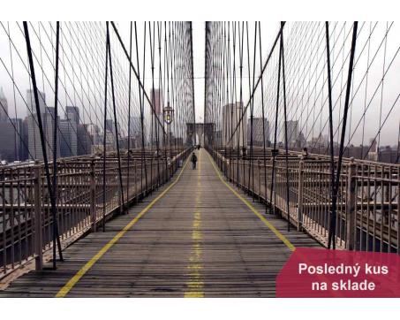 Papierové fototapety - Brooklyn bridge 366 x 254 cm