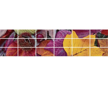 Keramické obklady - farebné listy - 240 x 60 cm - 18 ks