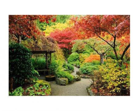 Fototapeta na podlahu FL-255-027 Japonská záhrada 255 x 170 cm