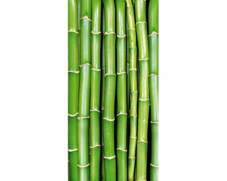 Fototapeta na podlahu FL-85-020 Zelený bambus 85 x 170 cm