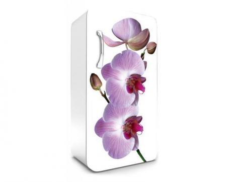 Fototapeta na chladničku FR-120-024 Fialová orchidea 120 x 65 cm