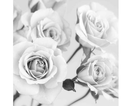 Fototapeta L-5505-SK Ruže čiernobiele 220 x 220 cm 