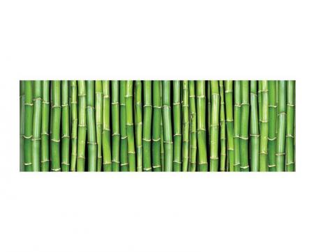 Fototapeta M-140 panoráma - Bambus 330 x 110 cm