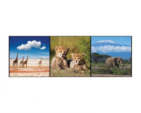 Fototapeta M-193 panoráma - Mozaika-africké zvieratá 330 x 110 cm