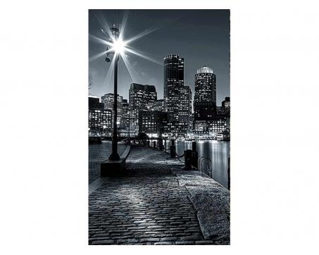 Fototapeta MS-2-0016 Boston čiernobiely 150 x 250 cm