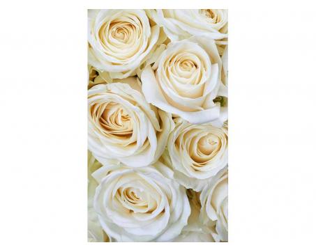Fototapeta MS-2-0137 Biele ruže 150 x 250 cm