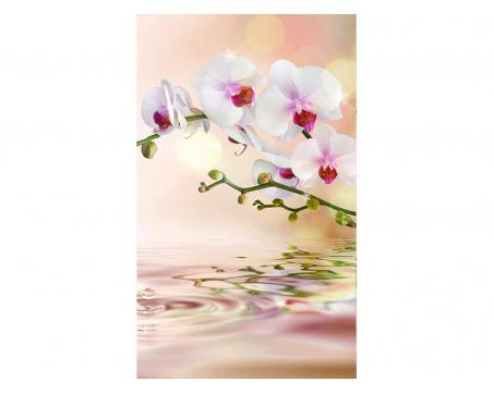 Fototapeta MS-2-0147 Biela orchidea 150 x 250 cm