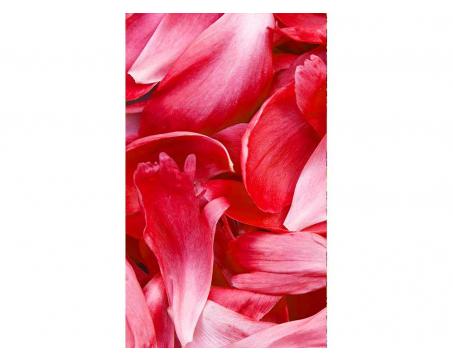 Fototapeta MS-2-0151 Červené lupene 150 x 250 cm