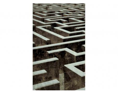 Fototapeta MS-2-0279 Labyrint 150 x 250 cm