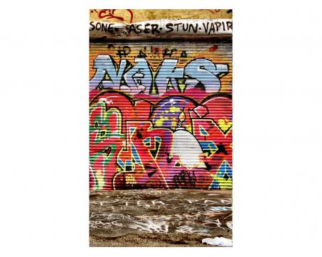 Fototapeta MS-2-0321 Grafity z ulice 150 x 250 cm
