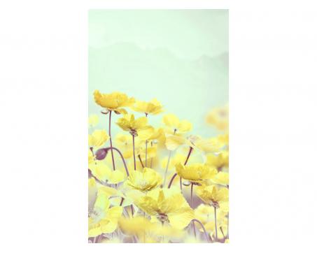 Fototapeta MS-2-5512-SK Aquarelové maky žlté 150 x 250 cm