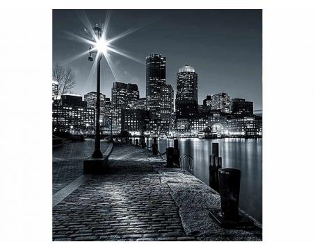 Fototapeta MS-3-0016 Boston čiernobiely 225 x 250 cm