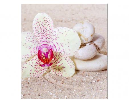 Fototapeta MS-3-0119 Orchidea v piesku 225 x 250 cm