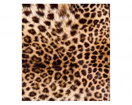 Fototapeta MS-3-0184 Leopardia koža 225 x 250 cm
