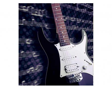 Fototapeta MS-3-0304 Elektrická gitara 225 x 250 cm