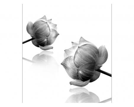 Fototapeta MS-3-5010-SK Čiernobiele kvety 225 x 250 cm