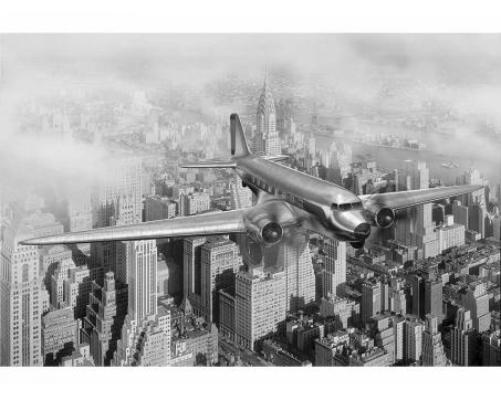 Fototapeta MS-5-0006 New York- lietadlo 375 x 250 cm