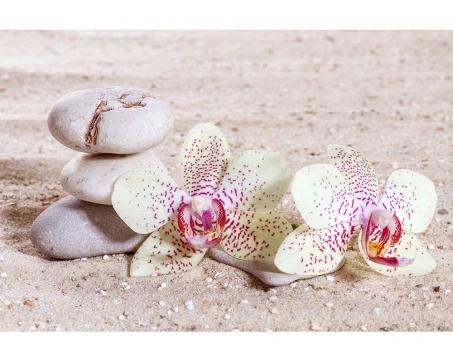 Fototapeta MS-5-0118 Orchidea v piesku 375 x 250 cm