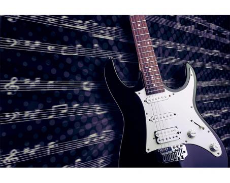 Fototapeta MS-5-0304 Elektrická gitara 375 x 250 cm