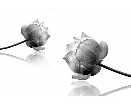 Fototapeta MS-5-5010-SK Čiernobiele kvety 375 x 250 cm