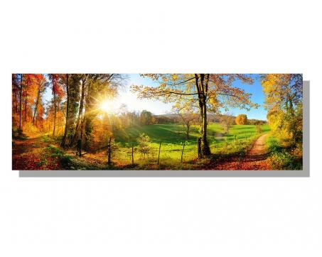 Obrazy na plátne Dimex - Lesná prechádzka 150 x 50 cm