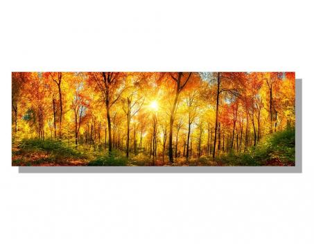 Obrazy na plátne Dimex - Slnečný les 150 x 50 cm