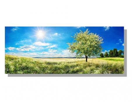 Obrazy na plátne Dimex - Kvitnúci strom 100 x 40 cm
