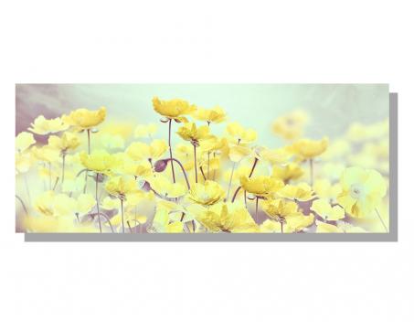 Obrazy na plátne Dimex - Aquarelové maky žlté 100 x 40 cm
