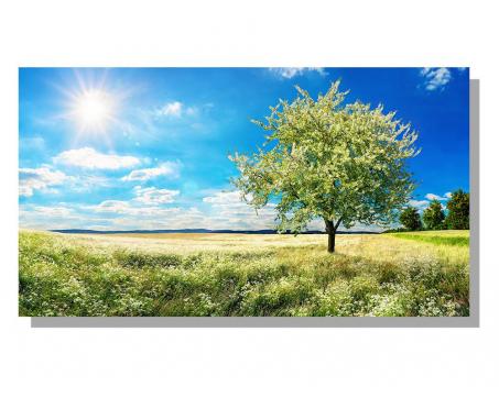 Obrazy na plátne Dimex - Kvitnúci strom 90 x 50 cm