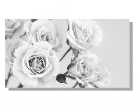 Obrazy na plátne Dimex - Ruže čiernobiele 90 x 50 cm