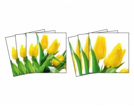 Nálepky na obkladačky - Tulipány - 15 x 15 cm