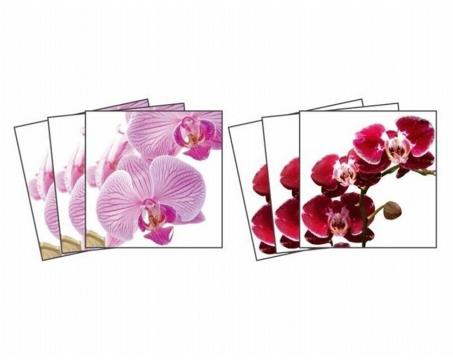 Nálepky na obkladačky - Orchidea - 15 x 15 cm