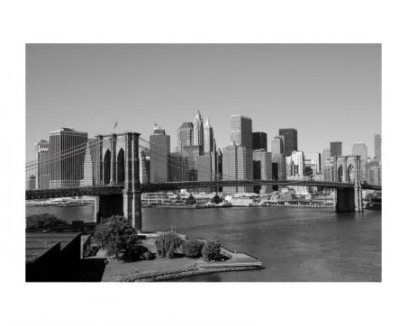 Fototapeta XL-104 Manhattan 330 x 220 cm