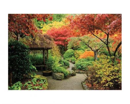 Fototapeta XL-143 Japonská záhrada 330 x 220 cm