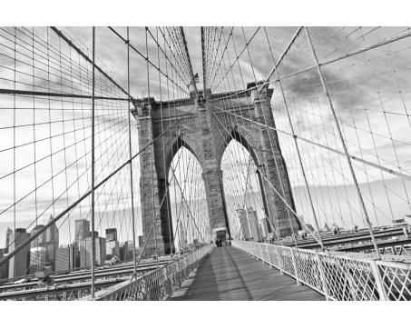 Fototapeta XL-5510-SK Brooklyn most - čiernobiely 330 x 220 cm